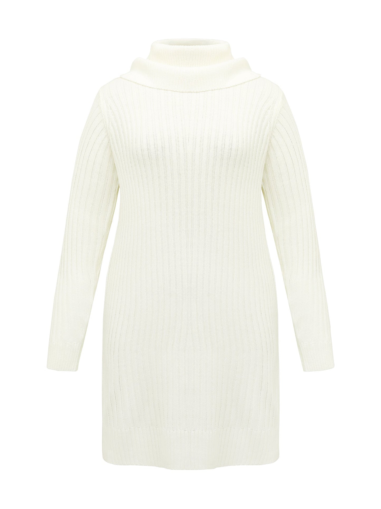 High Turtleneck Textured Sweater Dress