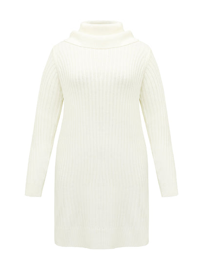 High Turtleneck Textured Sweater Dress