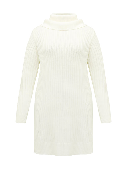 High Turtleneck Textured Sweater Dress